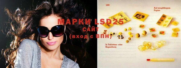 шишки Ельня