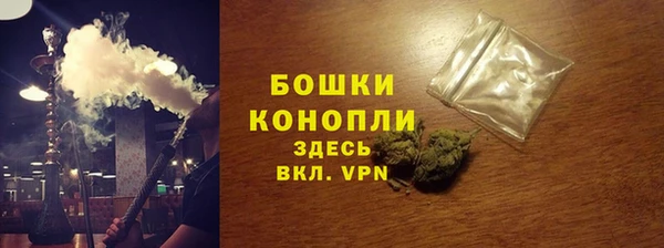шишки Ельня