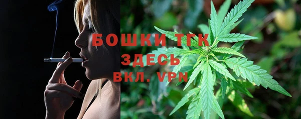 сатива Дмитров