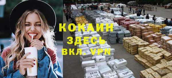 шишки Ельня