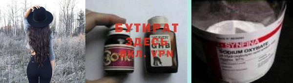 шишки Ельня