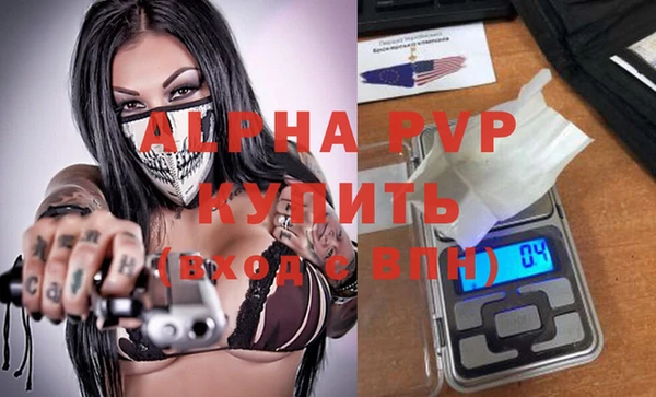 шишки Ельня