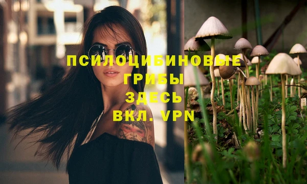 сатива Дмитров