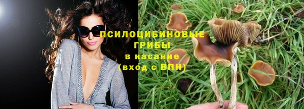 кокаин премиум Дмитриев