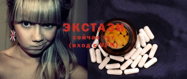 шишки Ельня