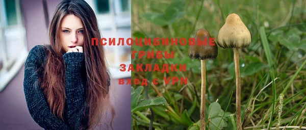 сатива Дмитров