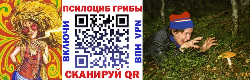 Купить где  Зерноград  Псилоцибиновые грибы Psilocybine cubensis 